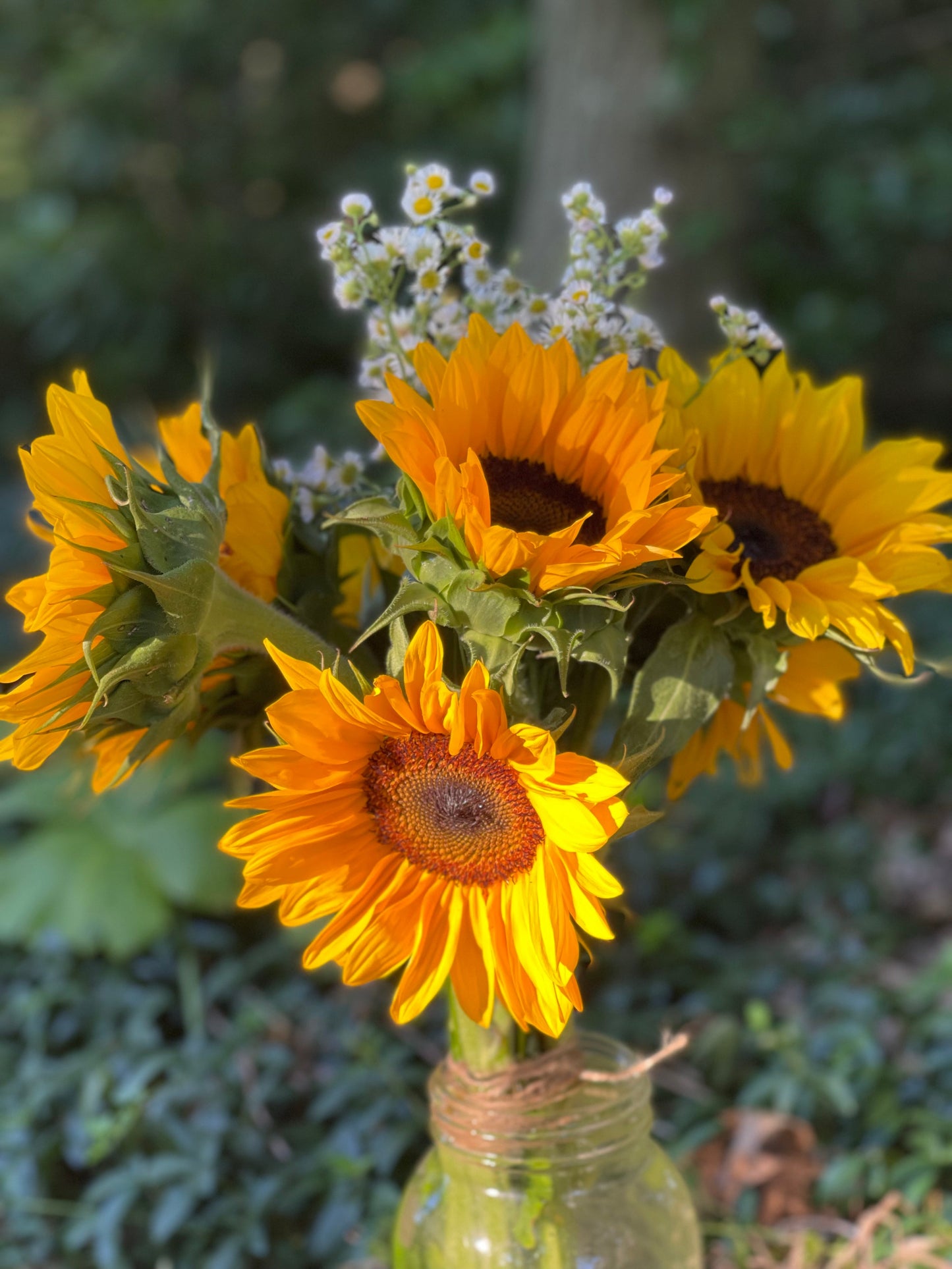 2024 Sunflower Bouquet Share