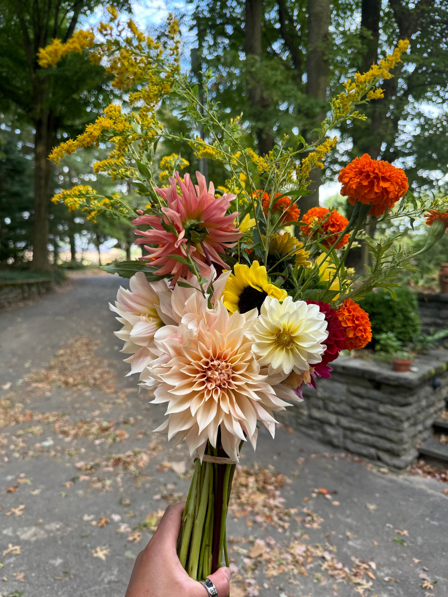 2025 Assorted Cut Flower Bouquet Share