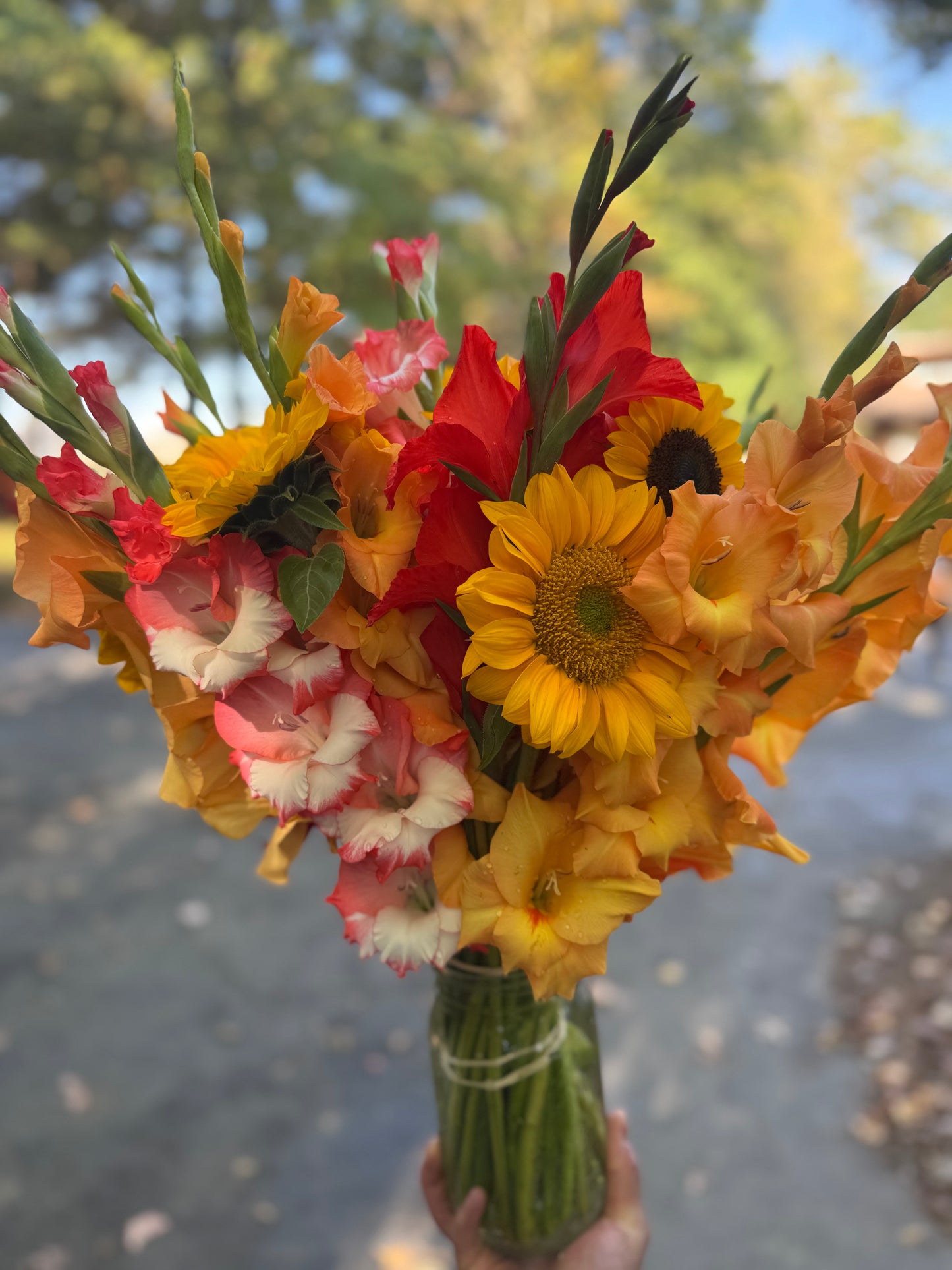 2025 Assorted Cut Flower Bouquet Share