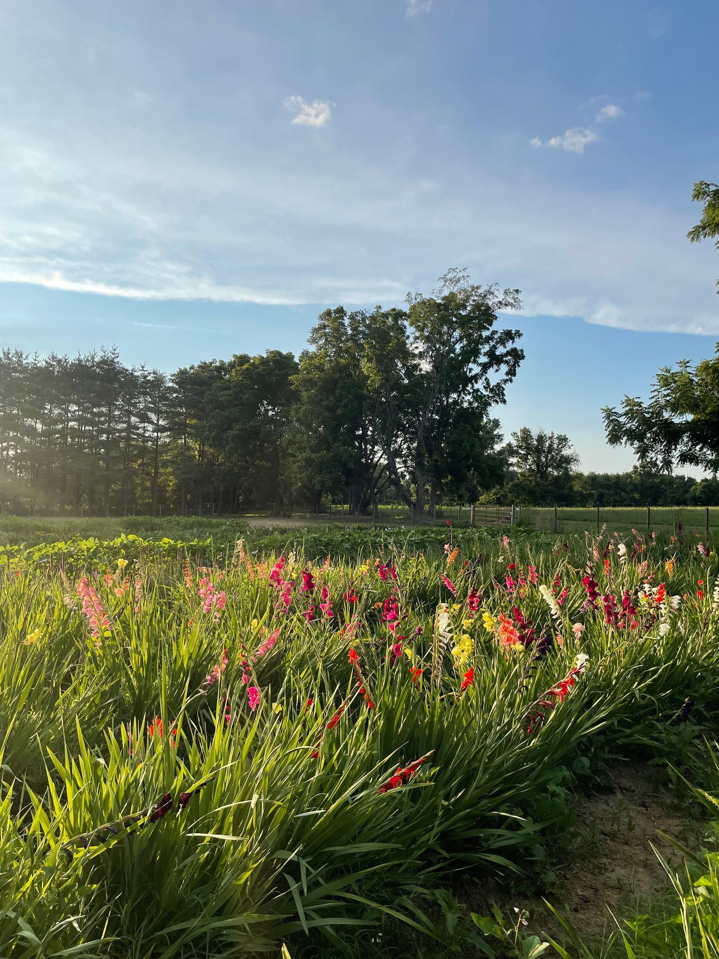 Photographer Farm Tour