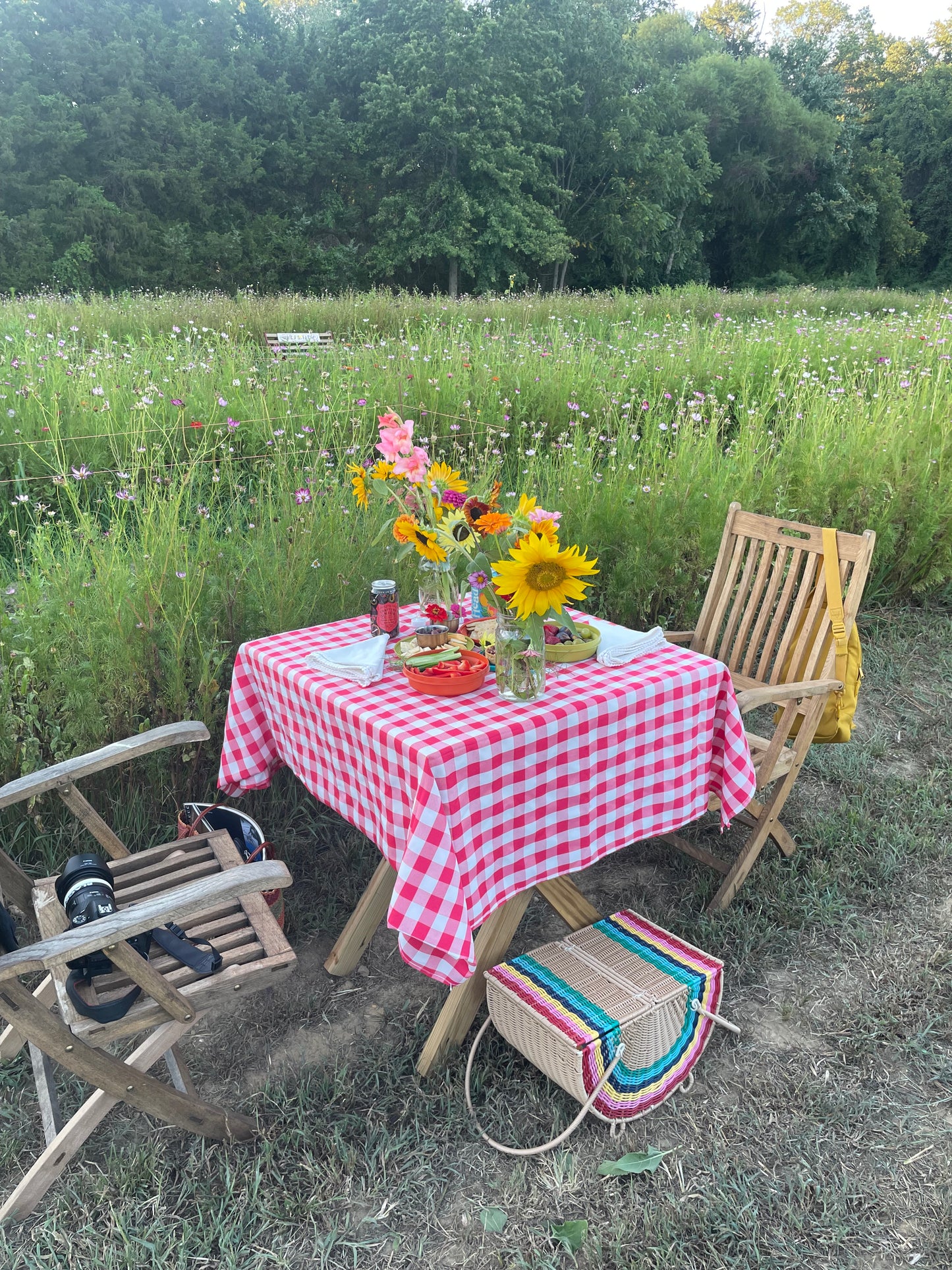 BYOB Date Night & Picnic Day