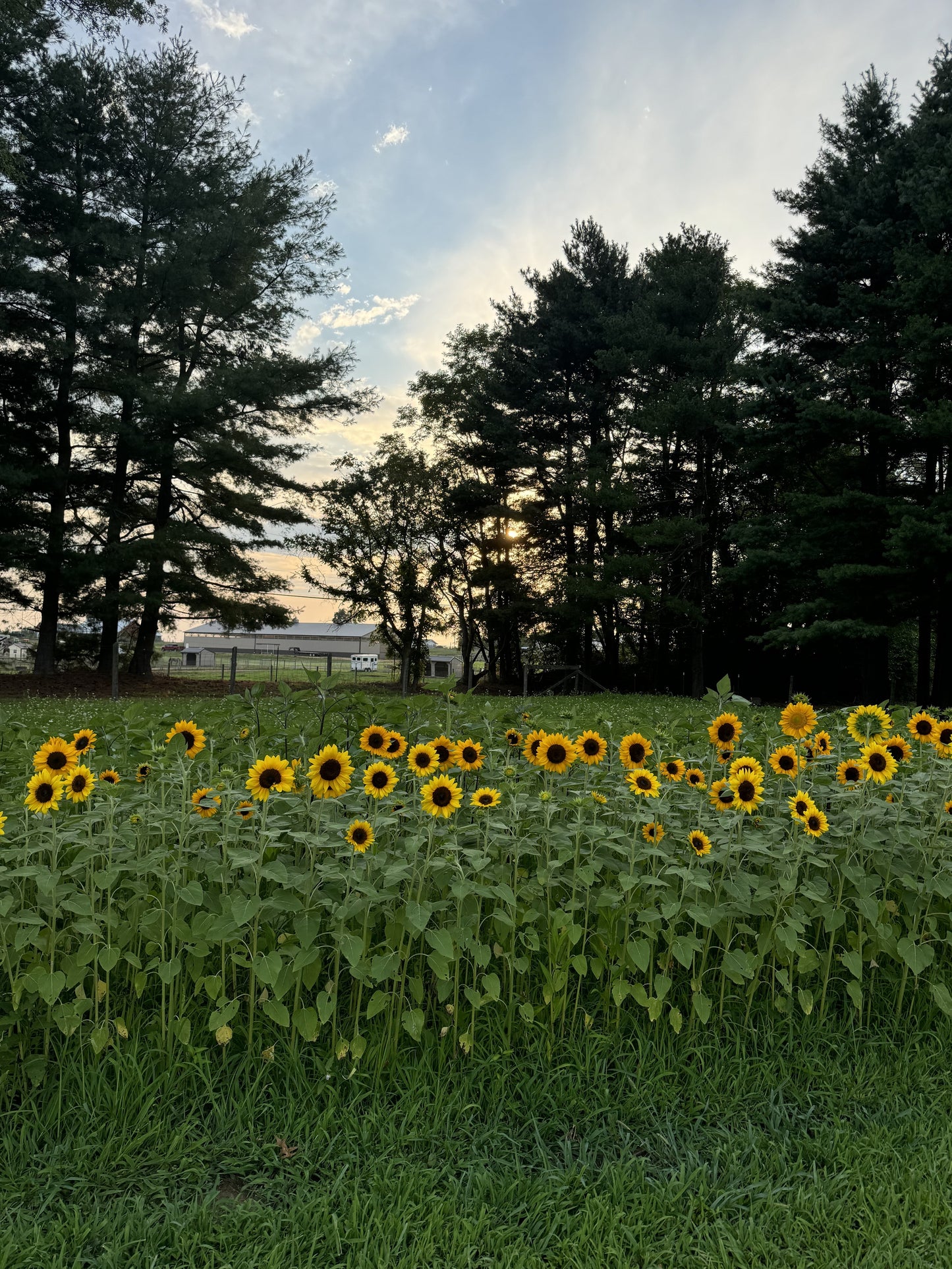 Photographer Farm Tour