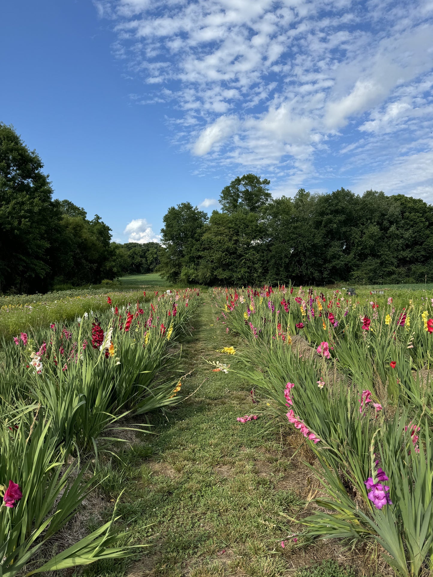 Photographer Farm Tour