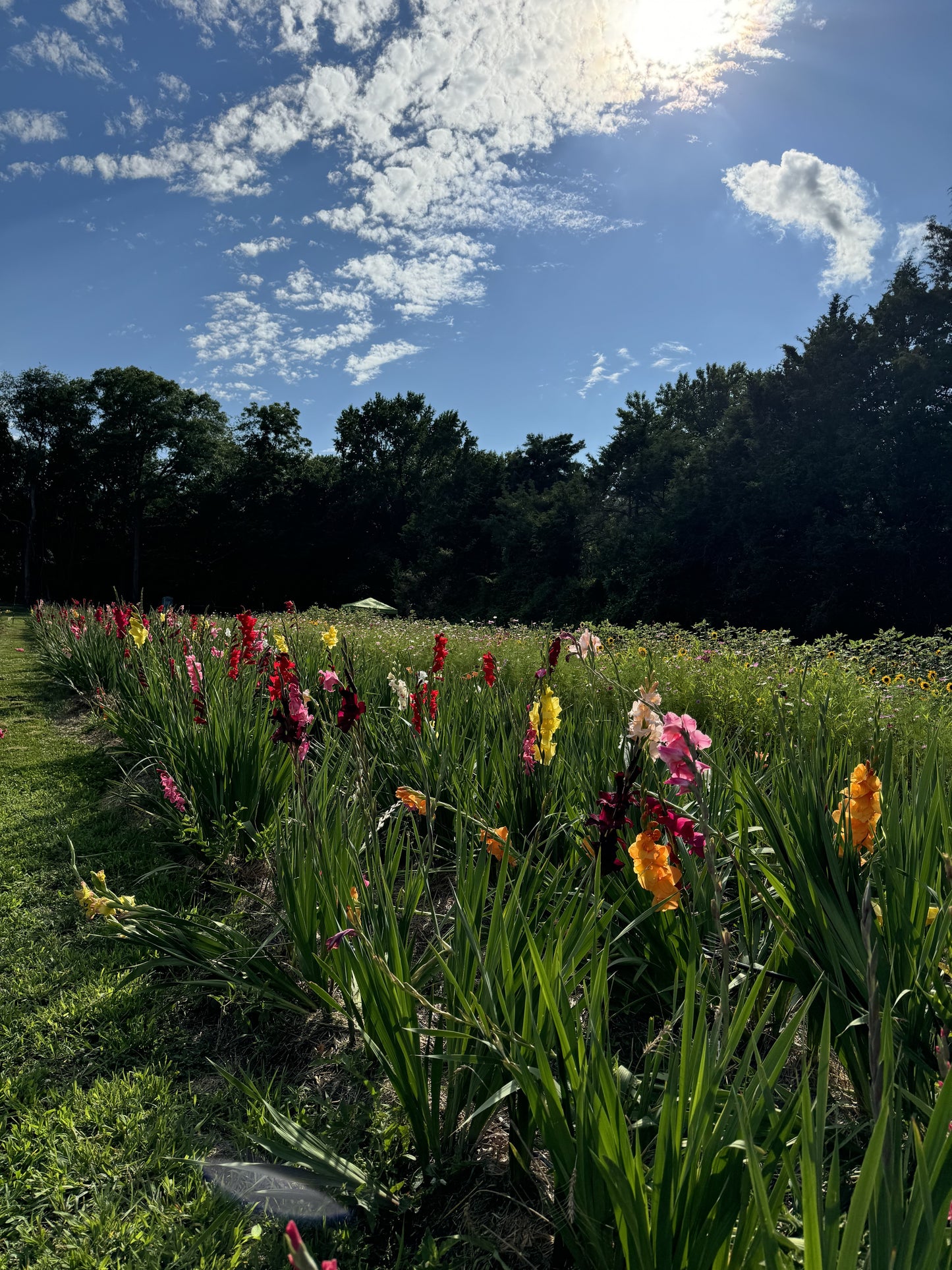 Photographer Farm Tour