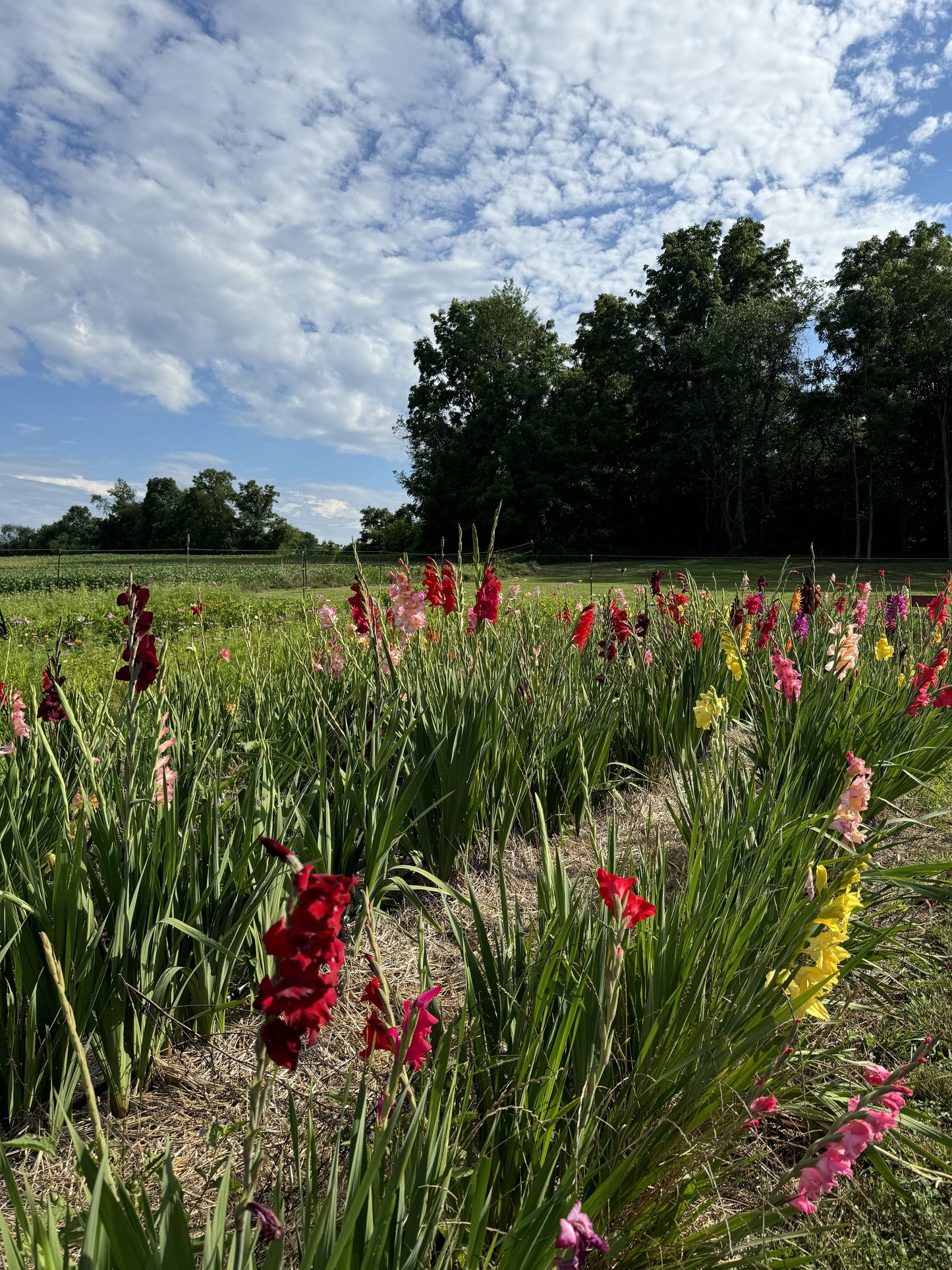Photographer Farm Tour