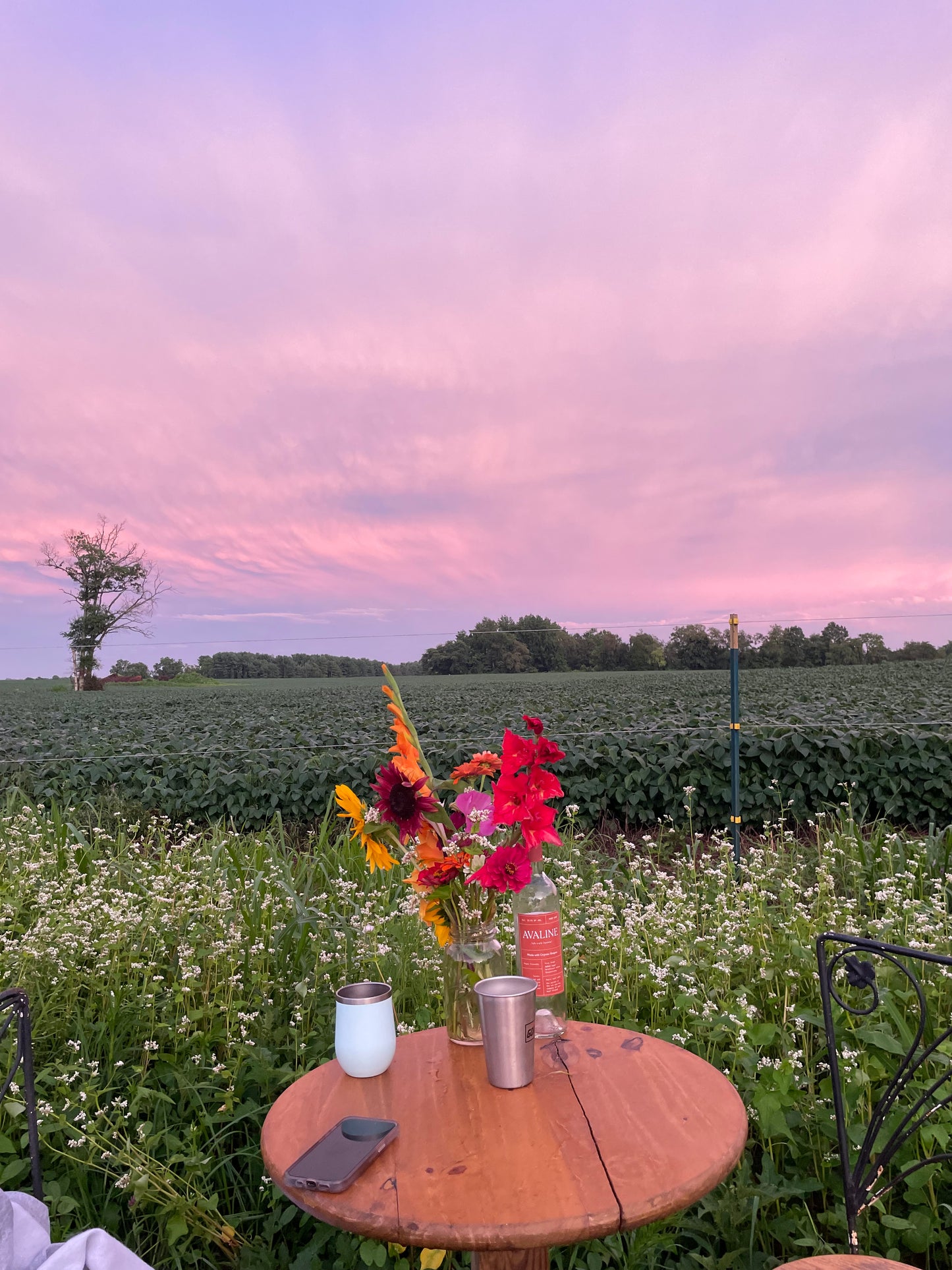 BYOB Date Night & Picnic Day