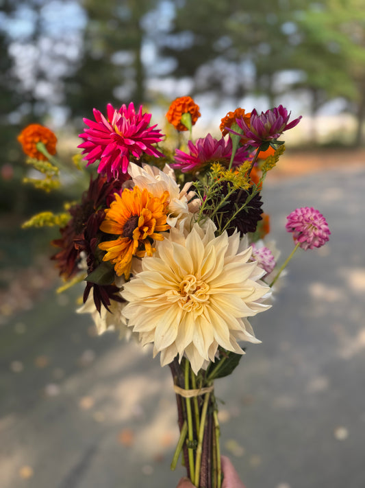 2025 Assorted Cut Flower Bouquet Share