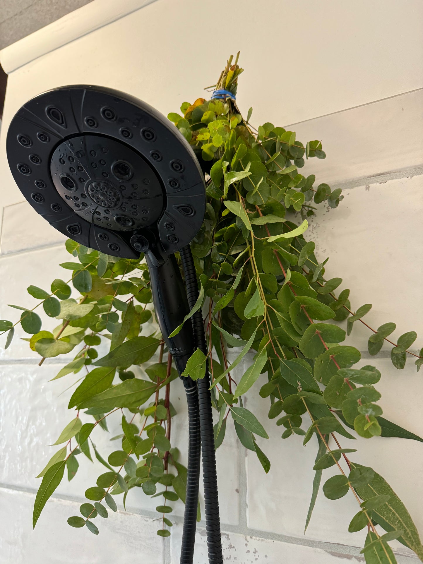 Fresh Eucalyptus Shower Bundle - Local NJ Pick Up