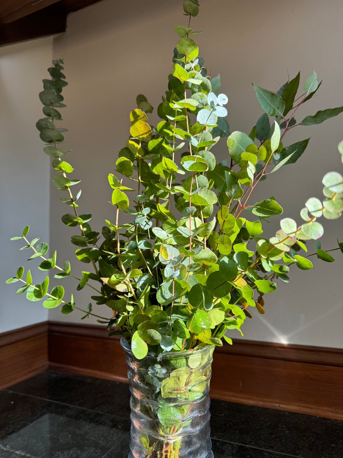 Fresh Eucalyptus Shower Bundle - Local NJ Pick Up