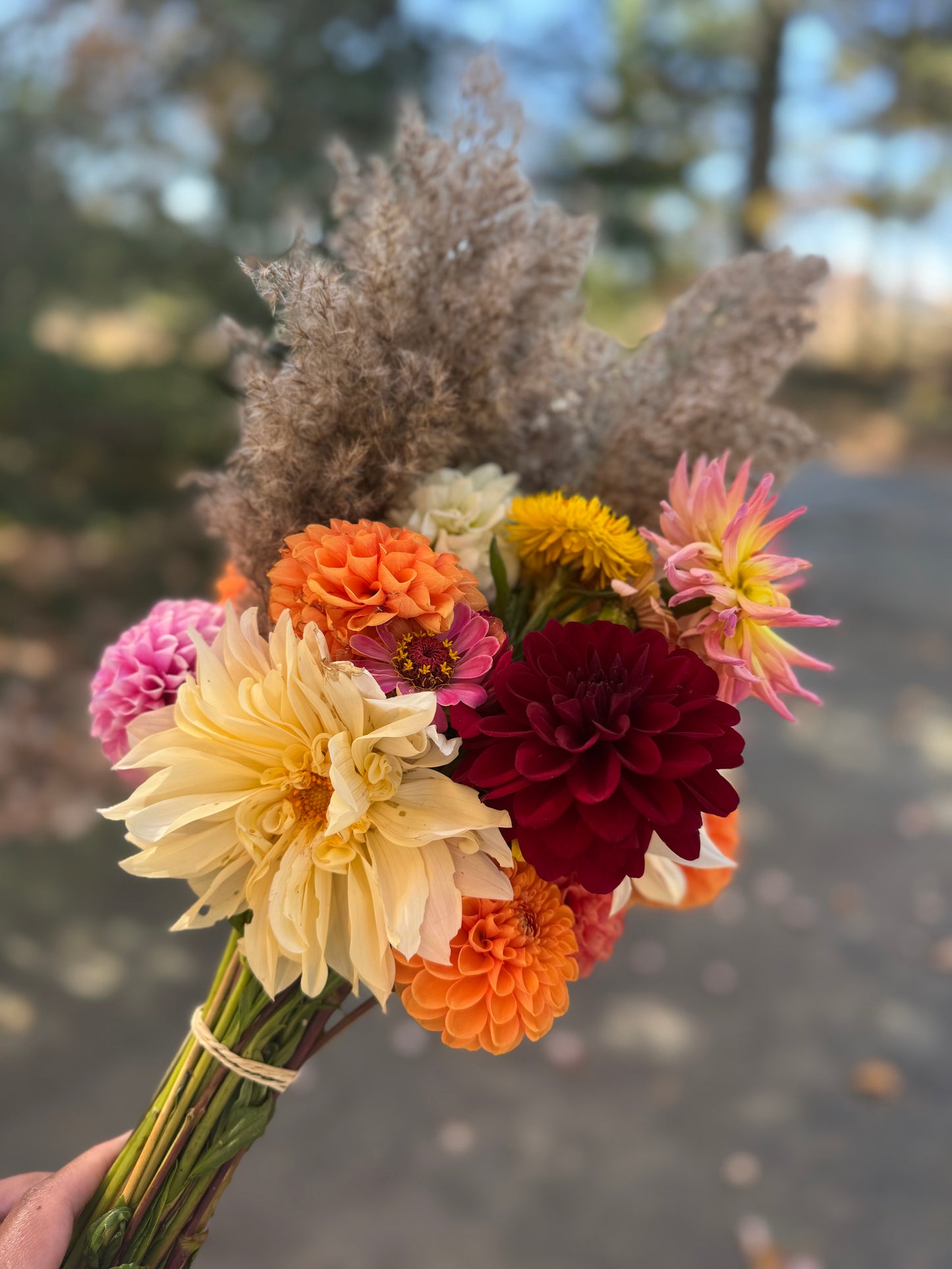 Fresh Assorted Bouquet - Ward's Farm NJ Pick Up