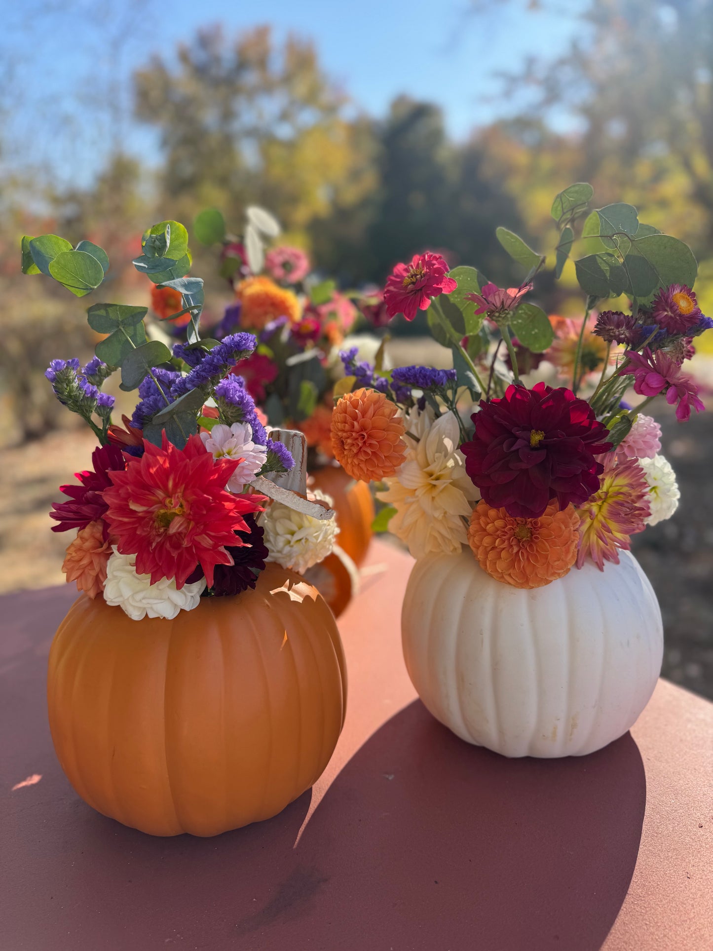 Pumpkin Bouquet Workshop