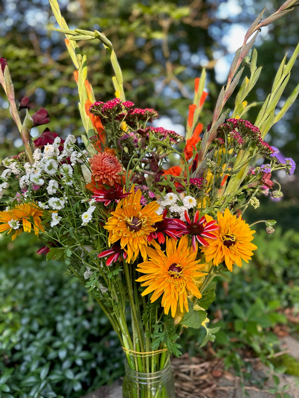 2024 Assorted Cut Flower Bouquet Share Ward's Farm