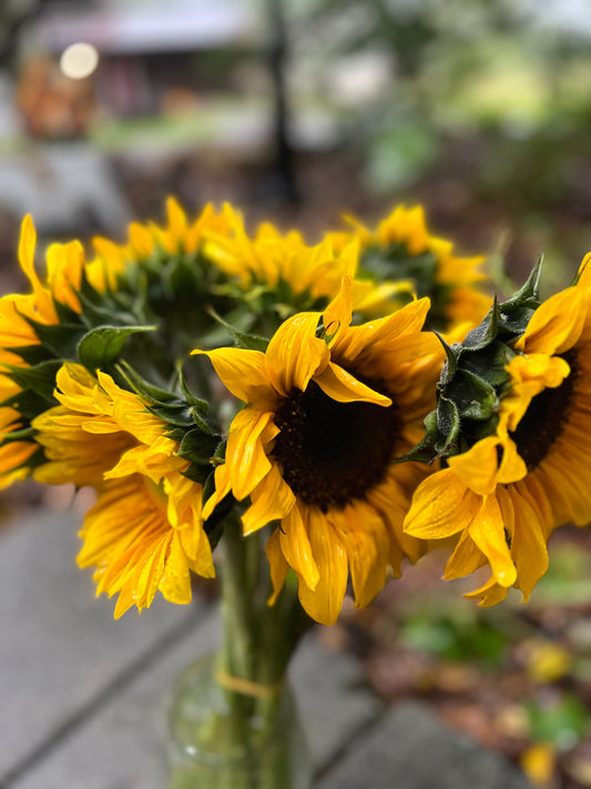 2024 Sunflower Bouquet Share