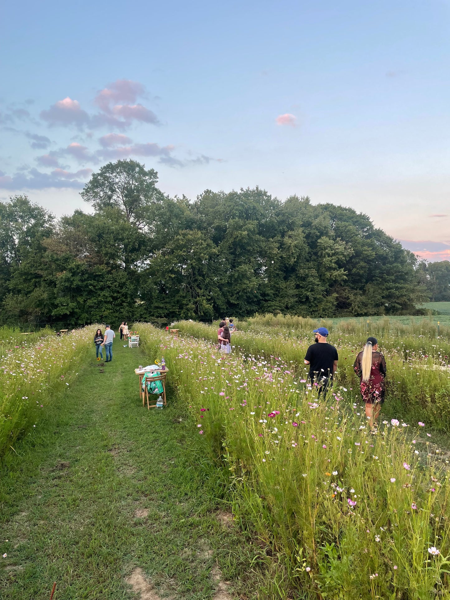 BYOB Date Night and Picnic Day: Sips & Sunsets in the Flower Fields