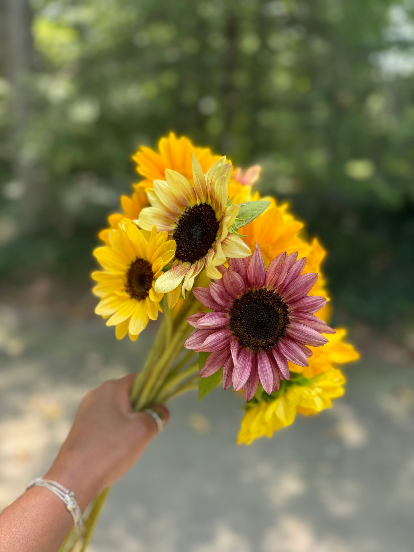 2025 Sunflower Bouquet Share