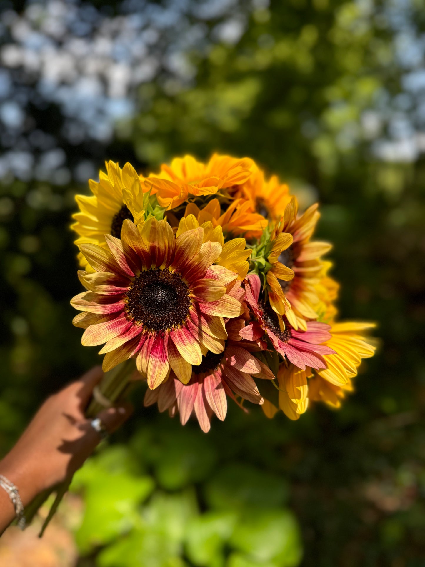 2025 Sunflower Bouquet Share