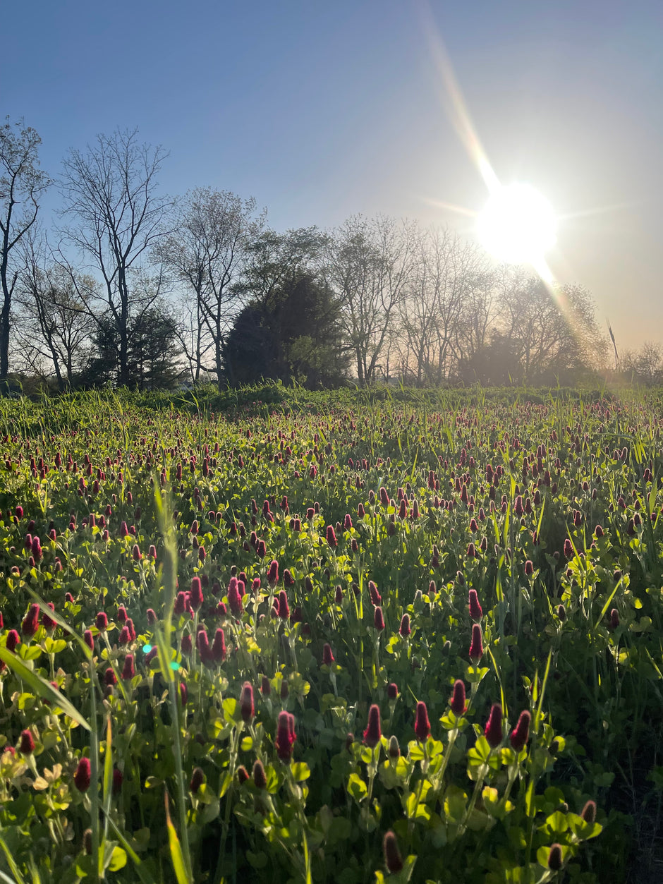 Products Ward's Farm